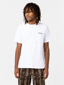 Dickies Camden Box Tee SS