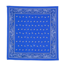 Parosh Foulard