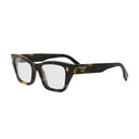 Fendi Roma Brown