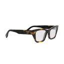 Fendi Roma Brown