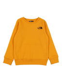 The North Face Kids Teen Box Nse Regular Crew Summit Gold