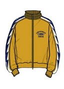 Champion Sweaters