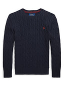 Polo Ralph Lauren Sweaters Blue
