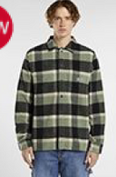 Dickies Shirts