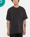 Dickies T Shirts And Polos