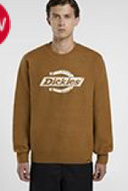 Dickies Sweaters