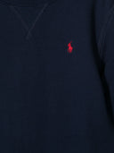 Polo Ralph Lauren Sweaters Blue