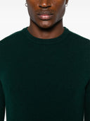 Woolrich truien groen