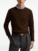 Polo Ralph Lauren tröjor bruna