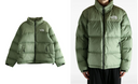 The North Face Coats