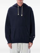 Champion Sweaters