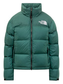 The North Face Manteaux Vert