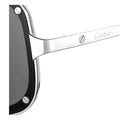 Cartier Ct0194 S Santos De Cartier Silver