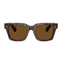 Oliver Peoples Ov5564 Su Ollice Brown