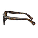 Oliver Peoples Ov5564 Su Ollice Brown
