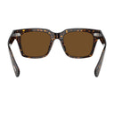 Oliver Peoples Ov5564 Su Ollice Brown