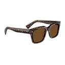 Oliver Peoples Ov5564 Su Ollice Brown