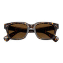 Oliver Peoples Ov5564 Su Ollice Brown