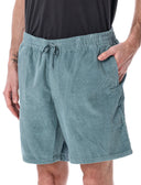 Patagonia Shorts