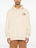 The North Face M Nature Hoodie Gravel