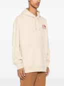The North Face M Nature Hoodie Gravel
