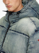 Diesel W Mons