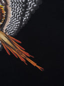 Marcelo Burlon County Of Milan Black Grizzly Wings Crewneck