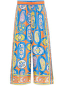 Alemais Luis Pant
