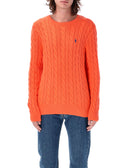 Polo Ralph Lauren Sweaters