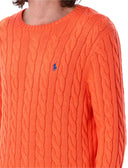 Polo Ralph Lauren Sweaters