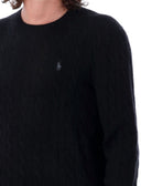 Polo Ralph Lauren Sweaters Black