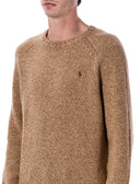 Polo Ralph Lauren Truien Bruin