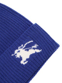 Burberry Chw Hats