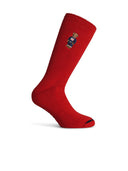 Polo Ralph Lauren 'Bear' multicolor katoenen sokken