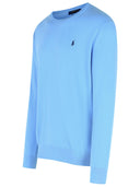 Polo Ralph Lauren ljusblå bomullsweatshirt