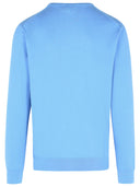 Polo Ralph Lauren ljusblå bomullsweatshirt