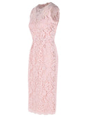 Dolce & Gabbana Pink bomuldsblandingskjole