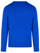 Polo Ralph Lauren blauwe katoenen trui