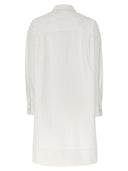 Alexander McQueen Shirt Dress