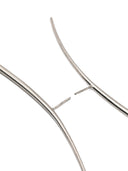 Panconesi Lacrima Earrings Large