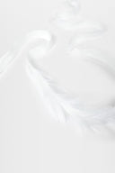 Ann Demeulemeester Zena Cock Feathers On Cotton Ribbon