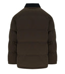 Giacca Carhartt Wip Rayler tabacco