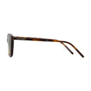 SL 775 solbriller Saint Laurent Acetate Brown