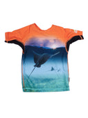 Molo Neptune T Shirts & Tops
