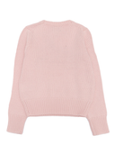 Polo Ralph Lauren American Swt Tops Sweater