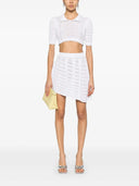 Polo de cultivo GCDS