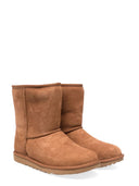 Ugg Classic II 밤나무