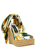 Dolce & Gabbana Floral Print Wedges