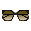 Chloé Sunglasses Ch0240 S 003 Black/Brown Woman
