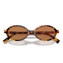 Miu Miu Sunglasses Mu04 Zs 19 P2 Z1 Brown/Brown Women